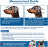 BARKLESS Soft Dog Head Collar, No Pull Training Tool for Small Dogs, Gentle Halter for Heavy Pullers