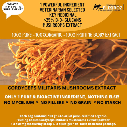 PURE CORDYCEPS M >25% ß-glucans, 100% Mushrooms Extract for Dogs & Cats, Stamina, Energy, Immune Support, 250 SERVINGS.