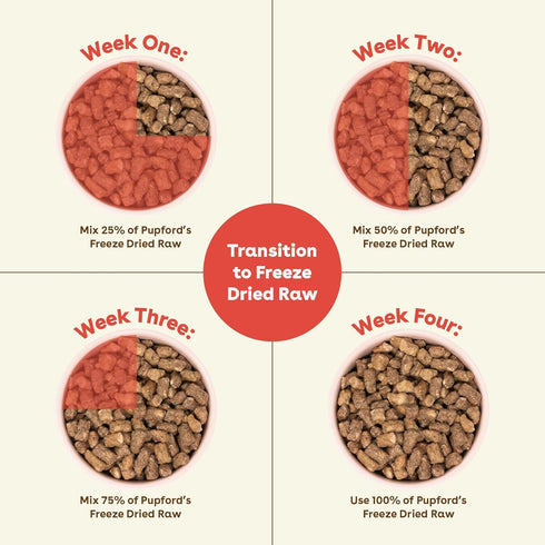 16 oz) Pupford Good Dog Food, Freeze-Dried Raw, High-Protein, Superfood Ingredients, Vet-Approved, No Fillers
