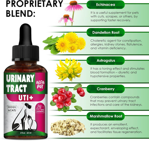 Cat Urinary Tract Infection Treatment with Cranberry, Dog UTI Care for Bladder, 2 Oz Drops for Renal Health