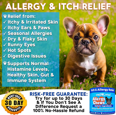 120 Well Loved Dog Allergy Chews - Dog Allergy Relief, Itching Skin Relief, Hot Spot Treatment & Seasonal Allergies