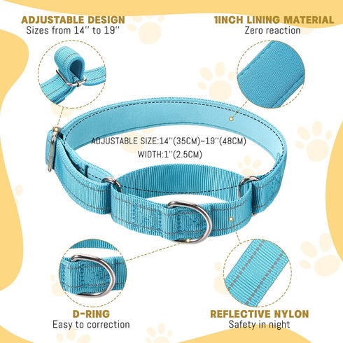 Cunno 12 Pcs Reflective Martingale Collar for Medium Dogs, Adjustable Nylon Pet Collar, Prevent Slipping Out, 12 Colors