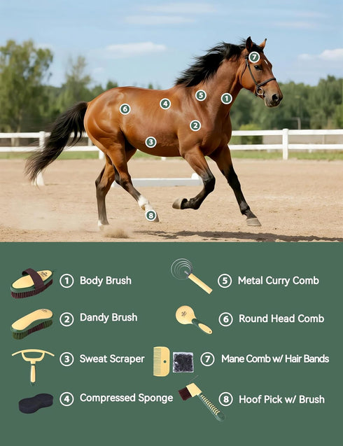 Furrishine 9 Set Horse Grooming Kit, Piece Grooming Brush with Silicone Curry Comb for Bathing & Shedding Pasture Glow
