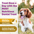 Yummy (24oz, 42 Count) Combs Dog Dental Treats Vet VOHC Approved Delicious Chicken Protein Removes Tartar with Cleaning