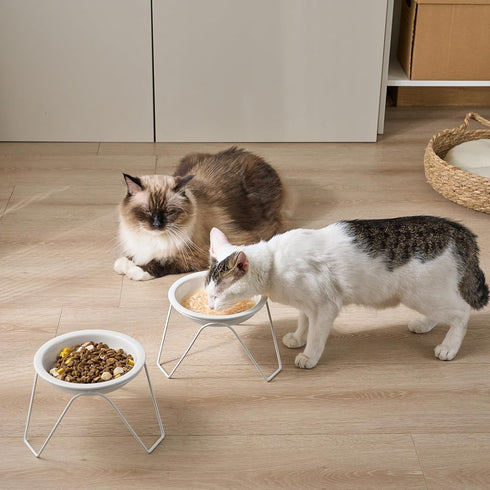 2-Pack Ceramic Raised Cat Bowls for Food and Water, Elevated Dishes with Stand, Dishwasher Safe