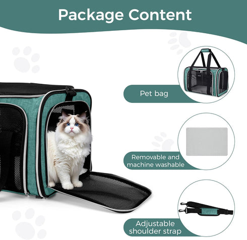 BAGLHER Pet Travel Carrier, Cat Carriers Dog Carrier for Small Medium Cats Dogs Puppies, Airline Approved Small Dog