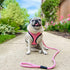 Gooby Mesh Leash - Pink, 4 FT Breathable Leash for Small Dogs with Bolt Snap Clasp