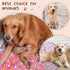 4 Pcs Pet Blanket, Paw Print Fleece Blanket for Small Medium Pets, XX-Large (51 x 63 Inch)