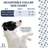 Hamilton Thick Nylon Deluxe Dog Collar, 1-Inch by 24-Inch Double, Red