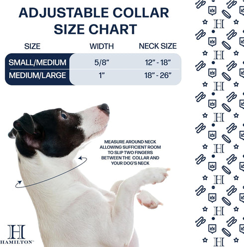 Hamilton Adjustable Combo Choke Collar for Dogs