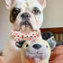 Elegant Little Tail Valentine's Day Dog Collar, Adjustable Heart Bowtie Collar for Large Dogs