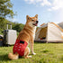 (Pack 3) Female Dog Diapers - Reusable Diapers for Doggie in Heat - Highly Absorbent for Pet Incontinence