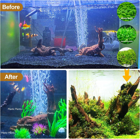 FUNOJOY Natural Driftwood Decor for Aquarium, Assorted Wood Branches for Reptile Fish Tank, Pack of 2 (7.5 to 10 Inch)