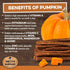 USA Sweet Potato Dog Treats - Grain Free, Cinnamon Pumpkin Crunchy Sticks Promote Positive Gut Health, No Preservatives