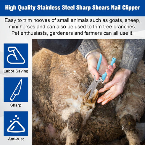 Solaradgy 10 Inch 8 Trimmers Trimming Pcs Farrier Tools, Horse Goat Hoof for Goats and Sheep with Carbon Steel Nipper