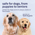 16 oz. Petpost | Dental Solution for Dogs - Water Additive that Eliminates Bad Breath - Dirt, Gunk, and Tooth Buildup