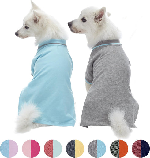 Blueberry Pet Back to School Dog Polo Shirts - 2-Pack Cotton Outfit for Small Pets in Sky Blue + Light Grey