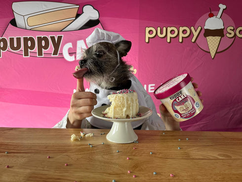 Cuppy Cake Microwave Cake in a Cup for Dogs - Just Add Water and Microwave, Variety 2 Pack, Made in USA