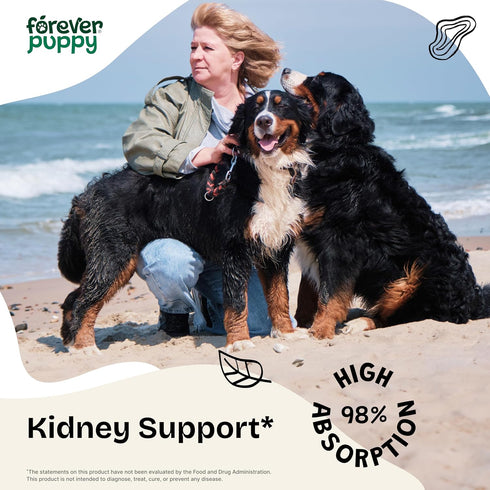 Kidney Support for Dogs - Kidney Health Drops w/Cordyceps Mushroom & Stinging Nettle Leaf - Liquid Alternative to Kidney Dog Treats - Natural Dog Food Supplements for Kidney Care - 4 oz