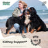 Kidney Support for Dogs - Kidney Health Drops w/Cordyceps Mushroom & Stinging Nettle Leaf - Liquid Alternative to Kidney Dog Treats - Natural Dog Food Supplements for Kidney Care - 4 oz