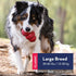 KONG Classic and Wild Knots Bear - Dog Chew Toy and Stuffed Rope Toy for Large Dogs