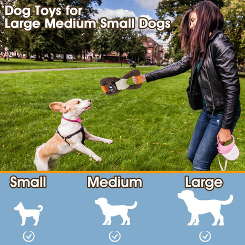 Tug of War Dog Toys, Squeaky Puppy Teething Chew Toys, Plush Durable Toys for Small Medium Large Breeds (Raccoon)