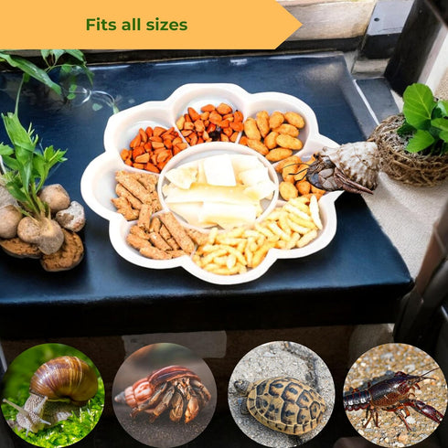 2pcs Set, Hermit Crab Food Bowls with Feeding Tongs and Scooper Hermit Crab Food Bowl Water Dishes Accessories, Small
