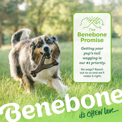 Benebone Wishbone Durable Dog Chew Toy for Aggressive Chewers, Medium, Real Bacon, Made in USA