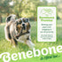 Benebone Wishbone Durable Dog Chew Toy for Aggressive Chewers, Medium, Real Bacon, Made in USA