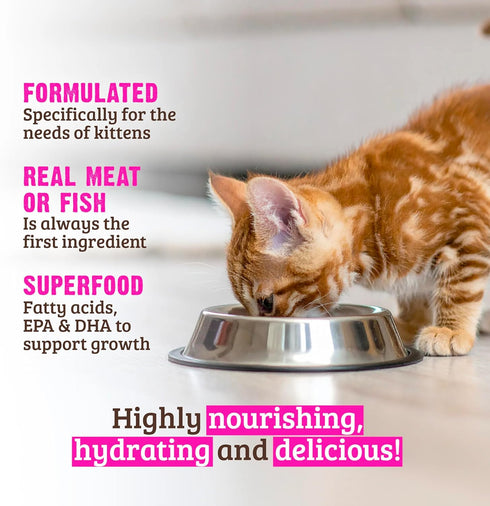 -2.8 oz Pack 18) Rawz Natural Premium Pate Canned Kitten Wet Food - Made with Real Meat Ingredients No BPA or Gums Cans