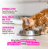 -2.8 oz Pack 18) Rawz Natural Premium Pate Canned Kitten Wet Food - Made with Real Meat Ingredients No BPA or Gums Cans