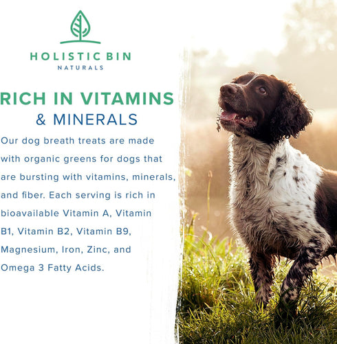 Canine Chlorella Tablets, Natural Dog Breath Freshener & Immune Booster Supplement, 100 Vegan Tablets