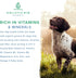 Canine Chlorella Tablets, Natural Dog Breath Freshener & Immune Booster Supplement, 100 Vegan Tablets