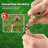 Premium Golf Tees, 3 1/4'' Unbreakable Transparent Plastic, 50 Count, Reduces Friction & Side Spin