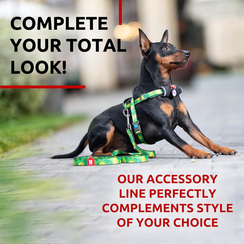 WAUDOG Nylon Dog Leash for Small Medium Dogs | 4 Ft Strong Heavy Duty Leash for Large Breed Dogs