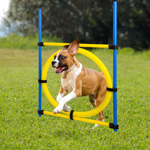 Dog Agility Training Equipment, Obstacle Course Jumper Ring, Height Adjustable Portable Tool for Backyard Exercise