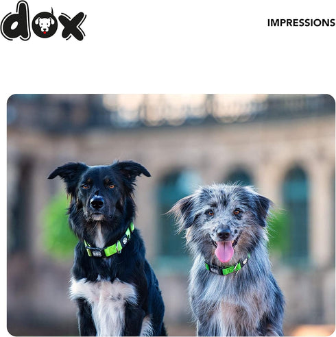 DDOXX Nylon Dog Collar, Strong and Adjustable, M (Purple), Blueberry Pet Dog Collar