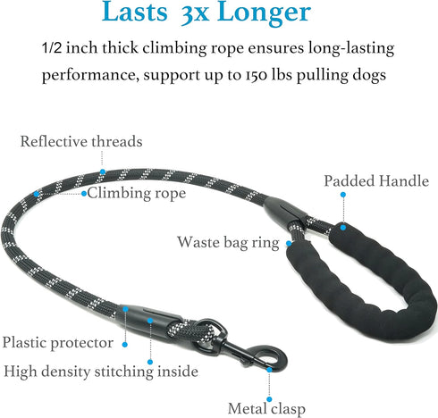 iYoShop Dual Dog Leash, 360 Swivel No Tangle Walking Leash, Shock Absorbing Bungee for Two Dogs, Black, Medium