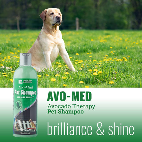 Kenic Ultra Nourishing AVO-Med Pet Shampoo, Made in USA, Soap & Paraben Free, pH Balanced, Naturally Derived Ingredients
