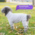 cyeollo Dog Pajamas Fleece Dog Coat, Thermal Stretchy Jumpsuits for Small Dogs (Grey)