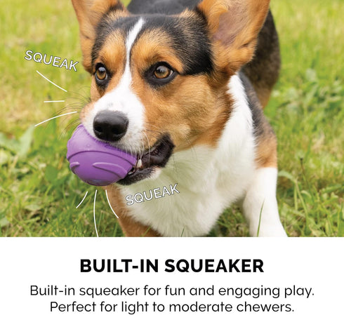 Furhaven 3-Pack 2.5" Squeaky Ball Dog Toys for Small/Medium Dogs, Fetch 'N Fun TPR Squeaky Ball Toy Set