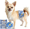 MICOOYO Male Dog Diapers, Disposable Male Dog Wraps with Wetness Indicator, Super