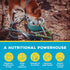 Brutus Bone Broth for Dogs, Bone Broth Powder with Chondroitin Glucosamine & Turmeric, Human Grade Food Toppers (Beef)