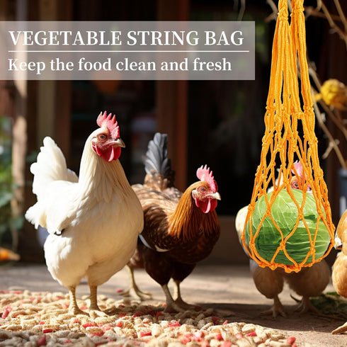 14PCS Chicken Toys for Coop Accessories, Swing Bridge Ladder Mirror Xylophone Toys with Bells Hanging String Vegetable