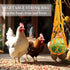 14PCS Chicken Toys for Coop Accessories, Swing Bridge Ladder Mirror Xylophone Toys with Bells Hanging String Vegetable