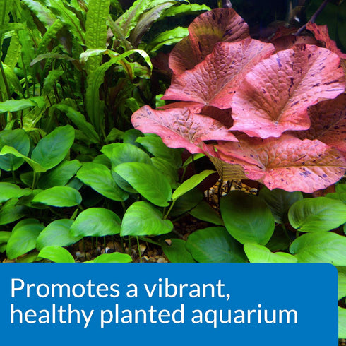 API Co2 Booster Freshwater Aquarium Plant Treatment – 16 oz Bottle