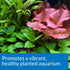 API Co2 Booster Freshwater Aquarium Plant Treatment – 16 oz Bottle