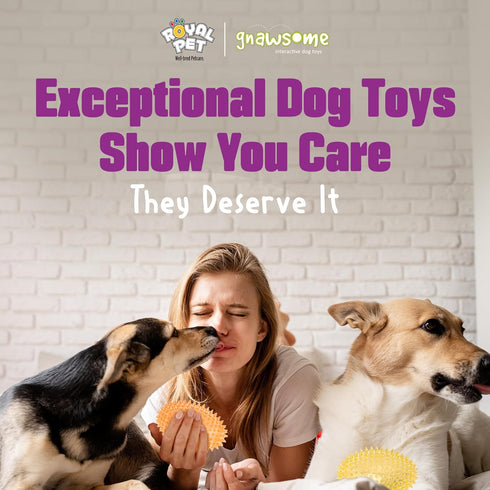 4.5 Gnawsome Spiky Squeaker Football Dog Toy - Large, Cleans Teeth and Promotes Good Dental and Gum Health for Your
