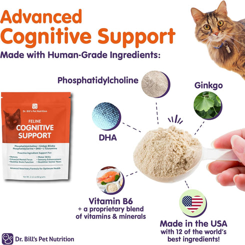 Dr. Bill's Feline Cognitive Support Supplement for Cats, Memory Support with Gingko Biloba & DHA