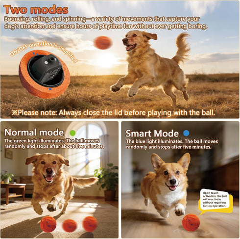 Loktoty IPX7 Smart Interactive Dog Toys Balls, Pelota Interactiva para Perros. Automatic Moving, Bouncing, E-TPU